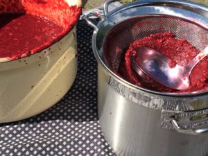 bramenjam