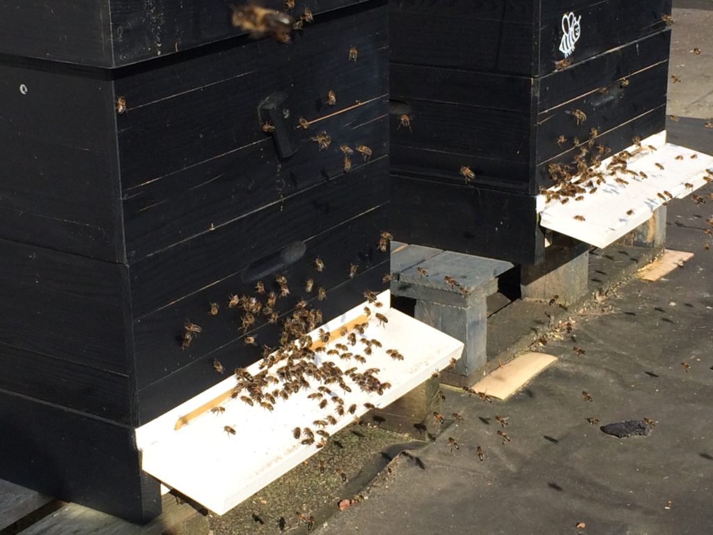 bijen vliegen uit na winterperiode