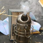 voorjaarsinspectie honingbijen voorjaarsinspectie