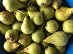 peren perenlikeur zelf maken