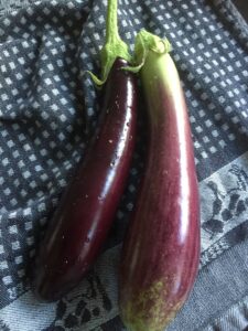 aubergine